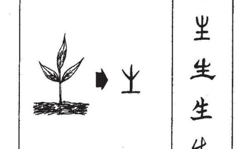 药用钙片多少钱一瓶-药用钙片网 - 网站提供药用钙片可以长期服用吗小常识、药用钙片哪个牌子好