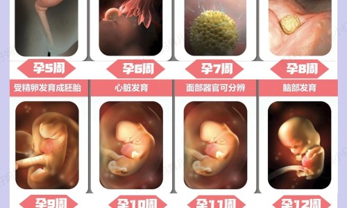 药用钙片网 - 网站提供药用钙片可以长期服用吗小常识、药用钙片哪个牌子好
